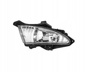 Противотуманка ліва для Hyundai Elantra HD 2006-2010 2441364430 фото